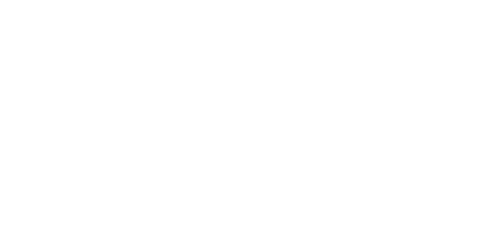 NEST.JS DEVELOPMENT COMPANY