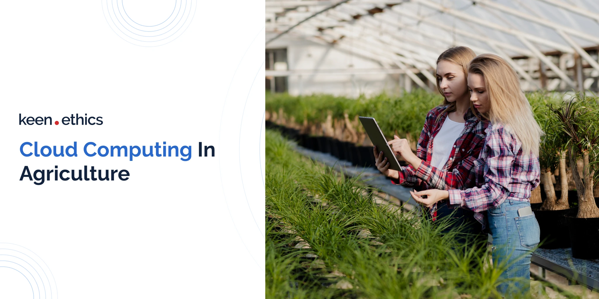 Cloud computing in agriculture